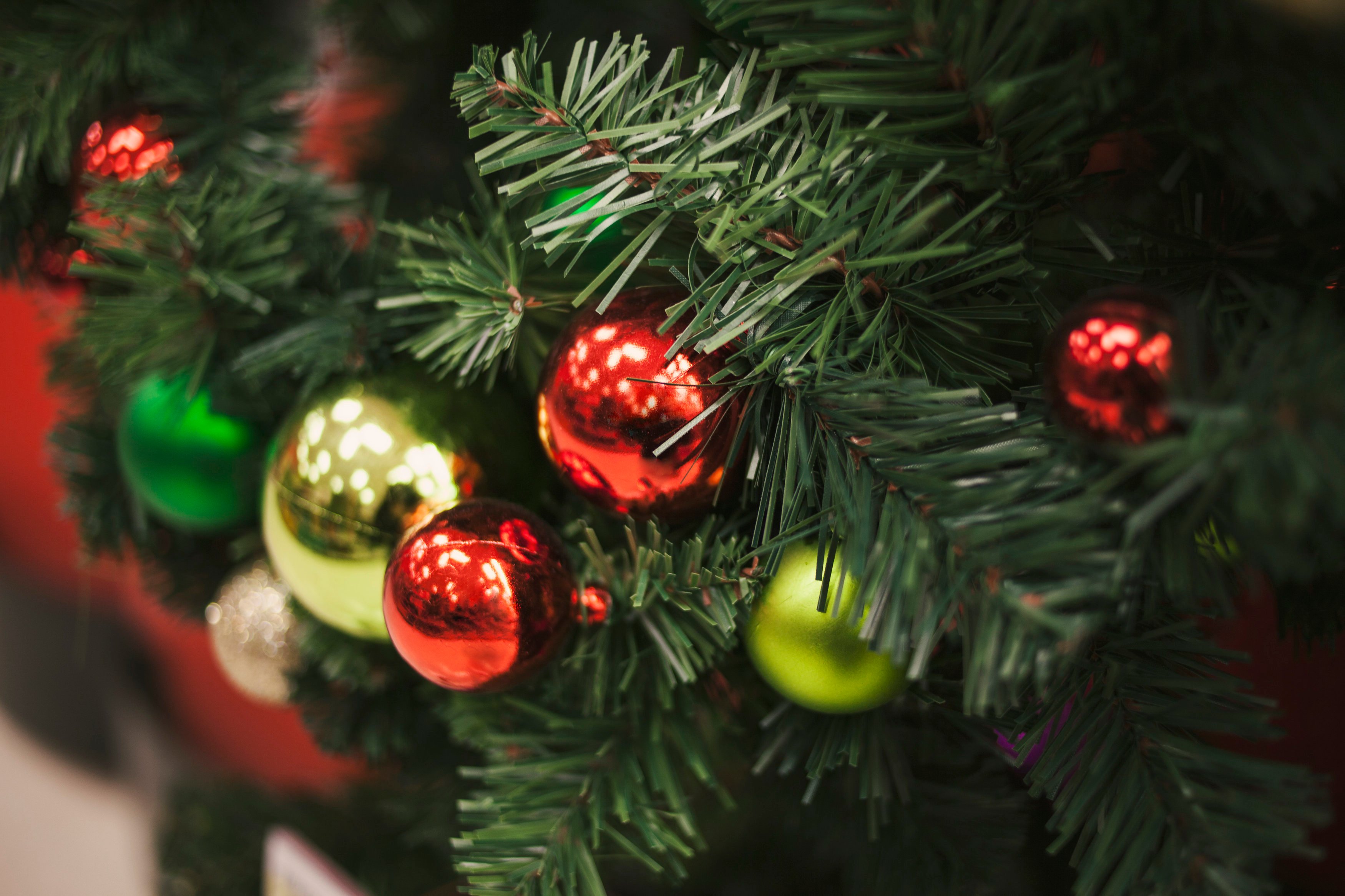 Holiday_5