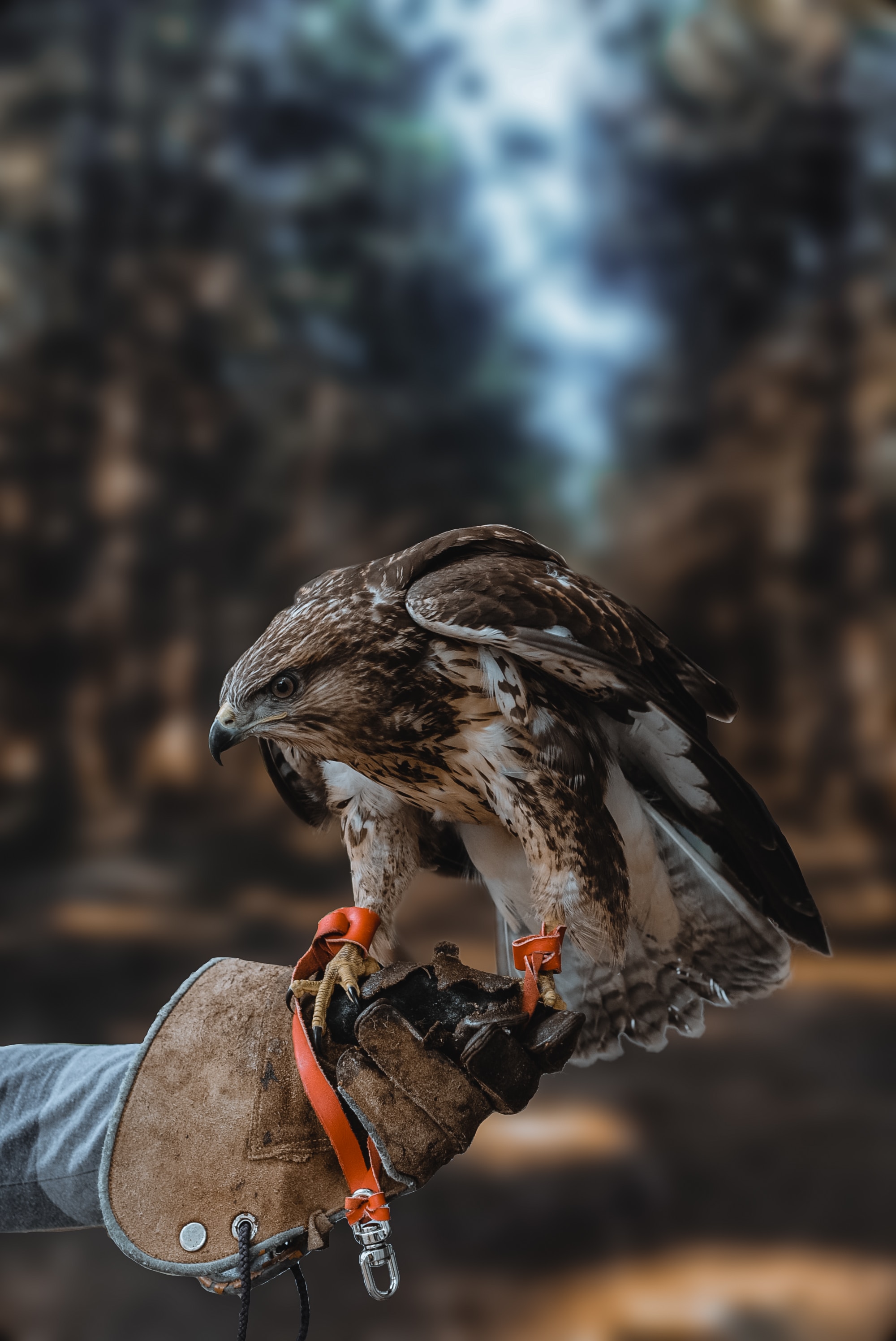 bogdan-glisik-xPW5M5RuzzQ-unsplash