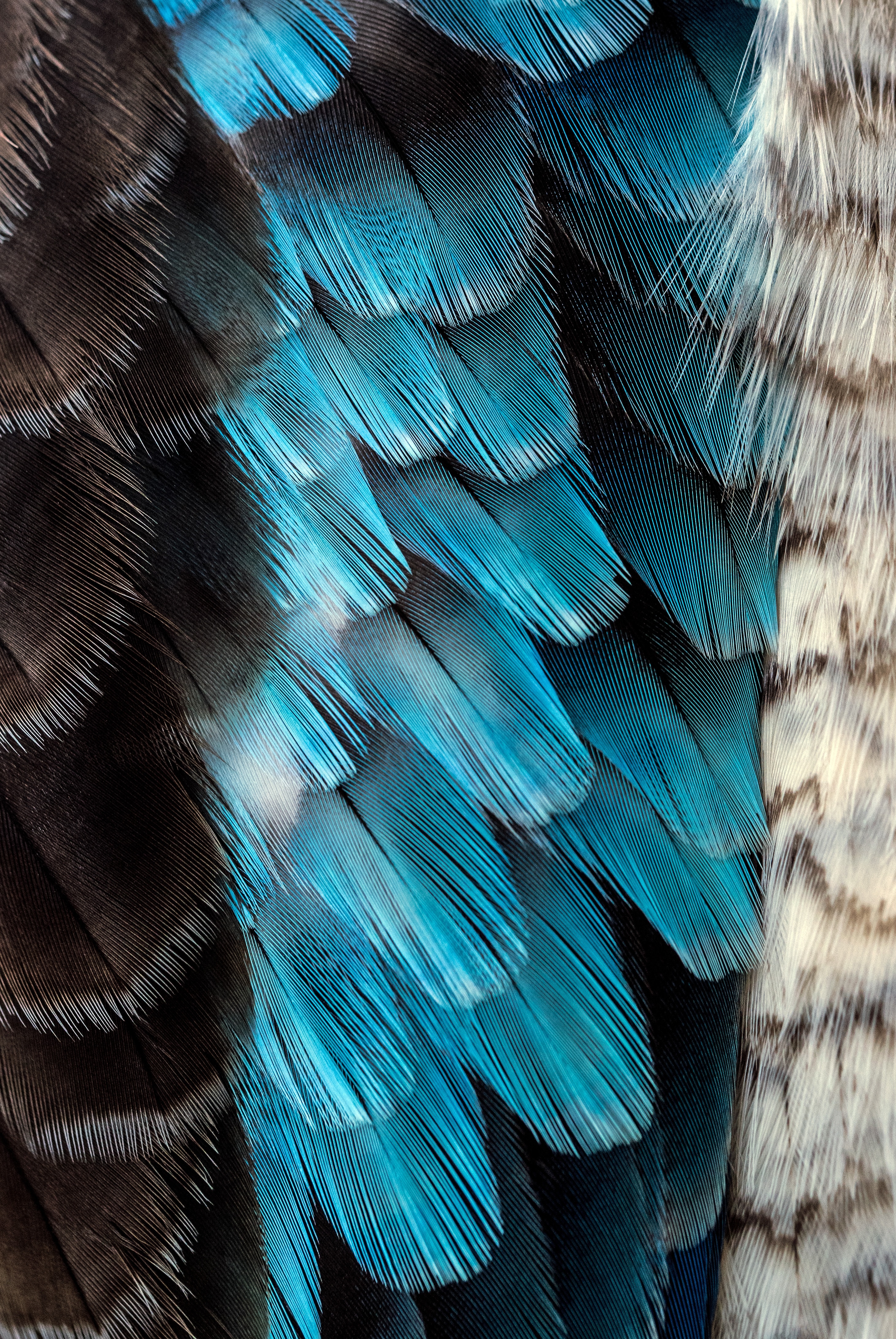 david-clode-CIYt1FnKFo8-unsplash
