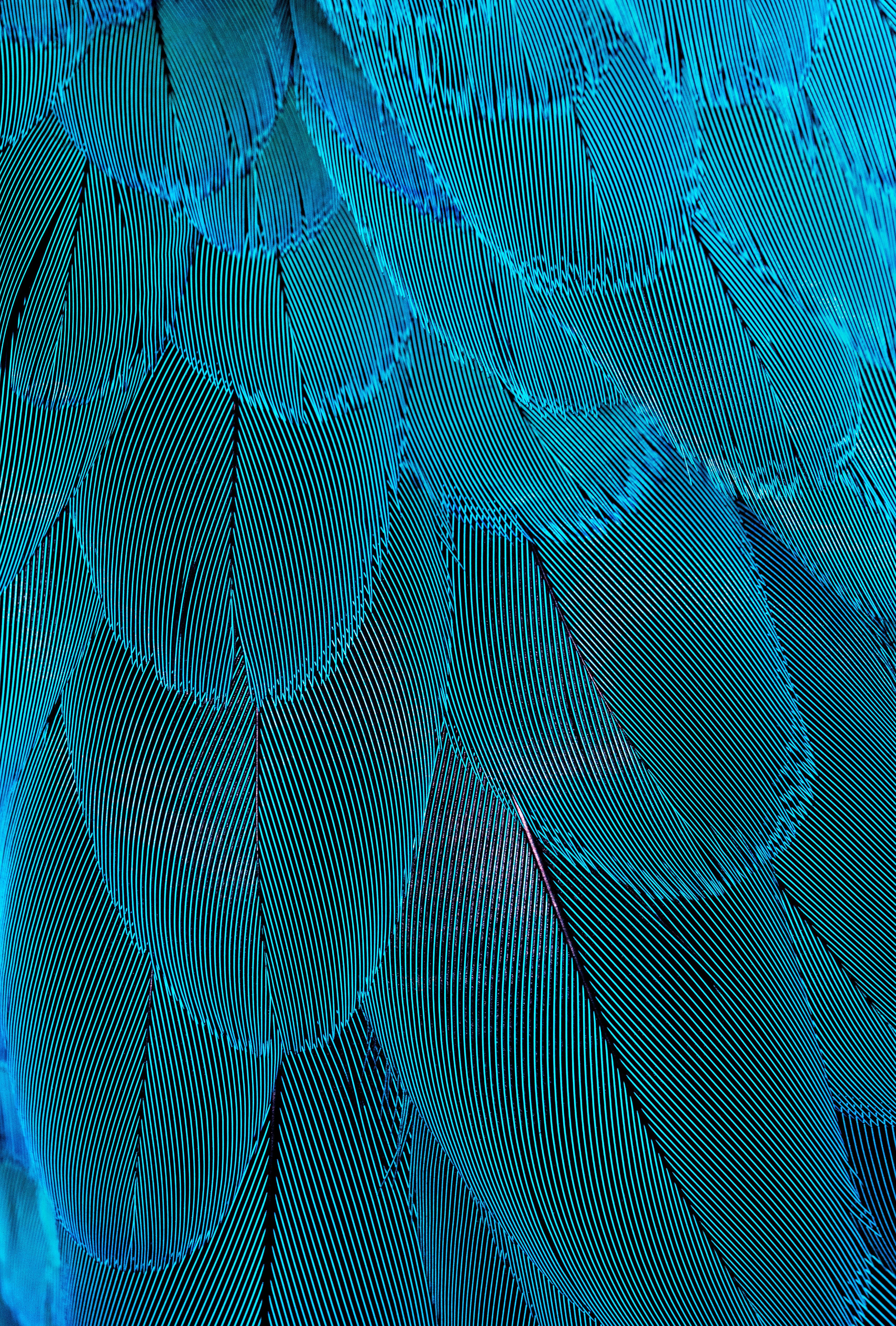 david-clode-xNVPuHanjkM-unsplash