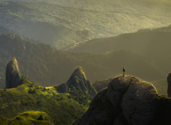 wow_image_2