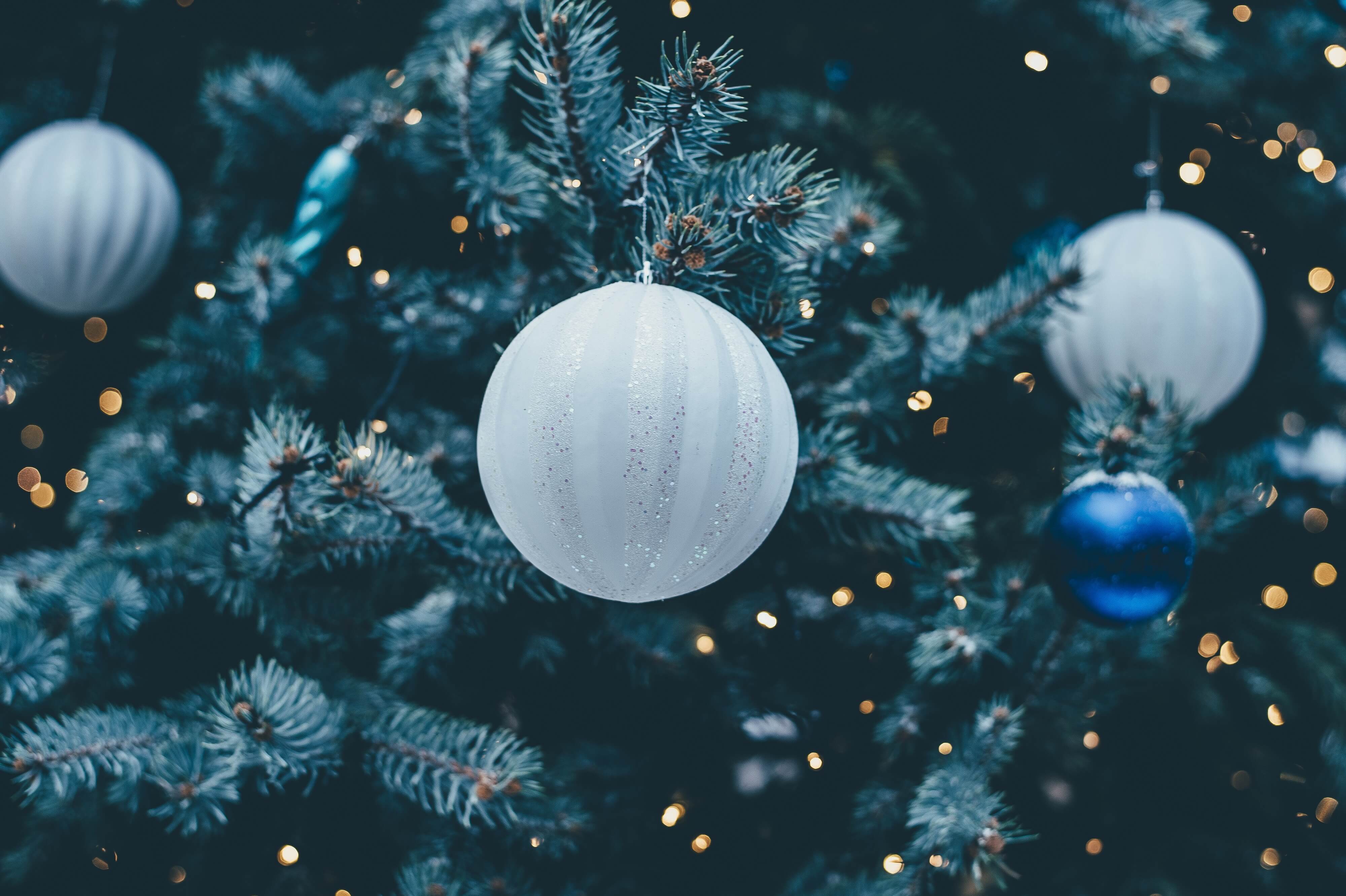 annie-spratt-165447-unsplash (1)