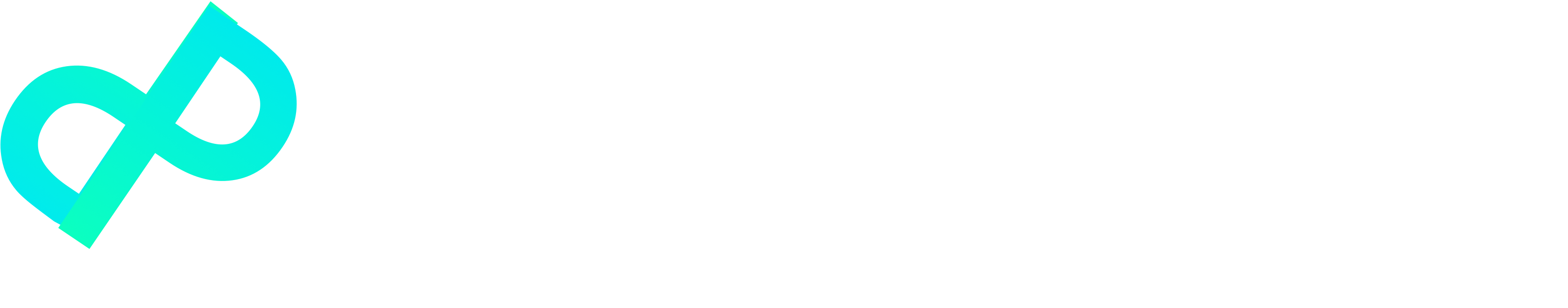 palmspire-logo-white (1)