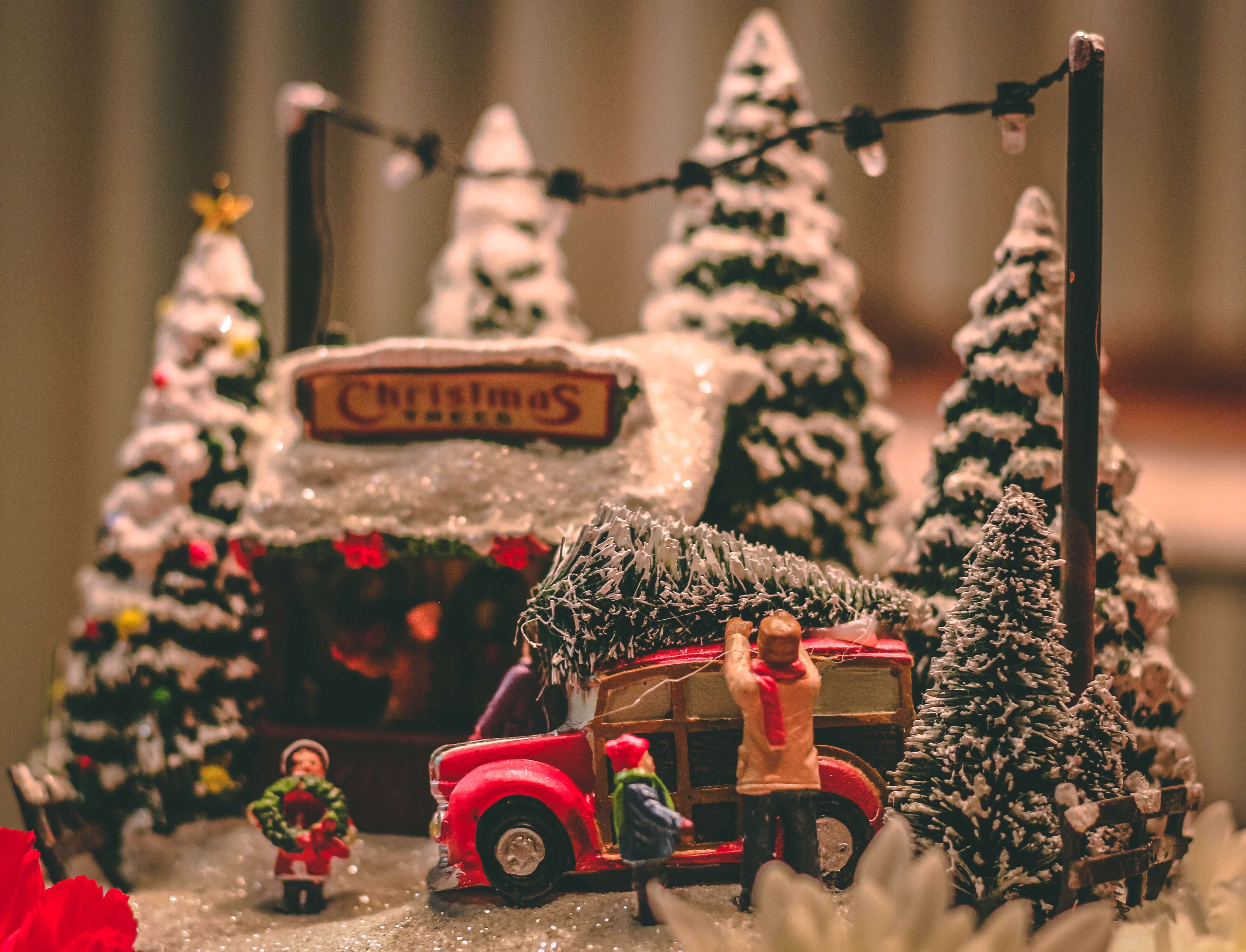 tyler-delgado-497539-unsplash (1)