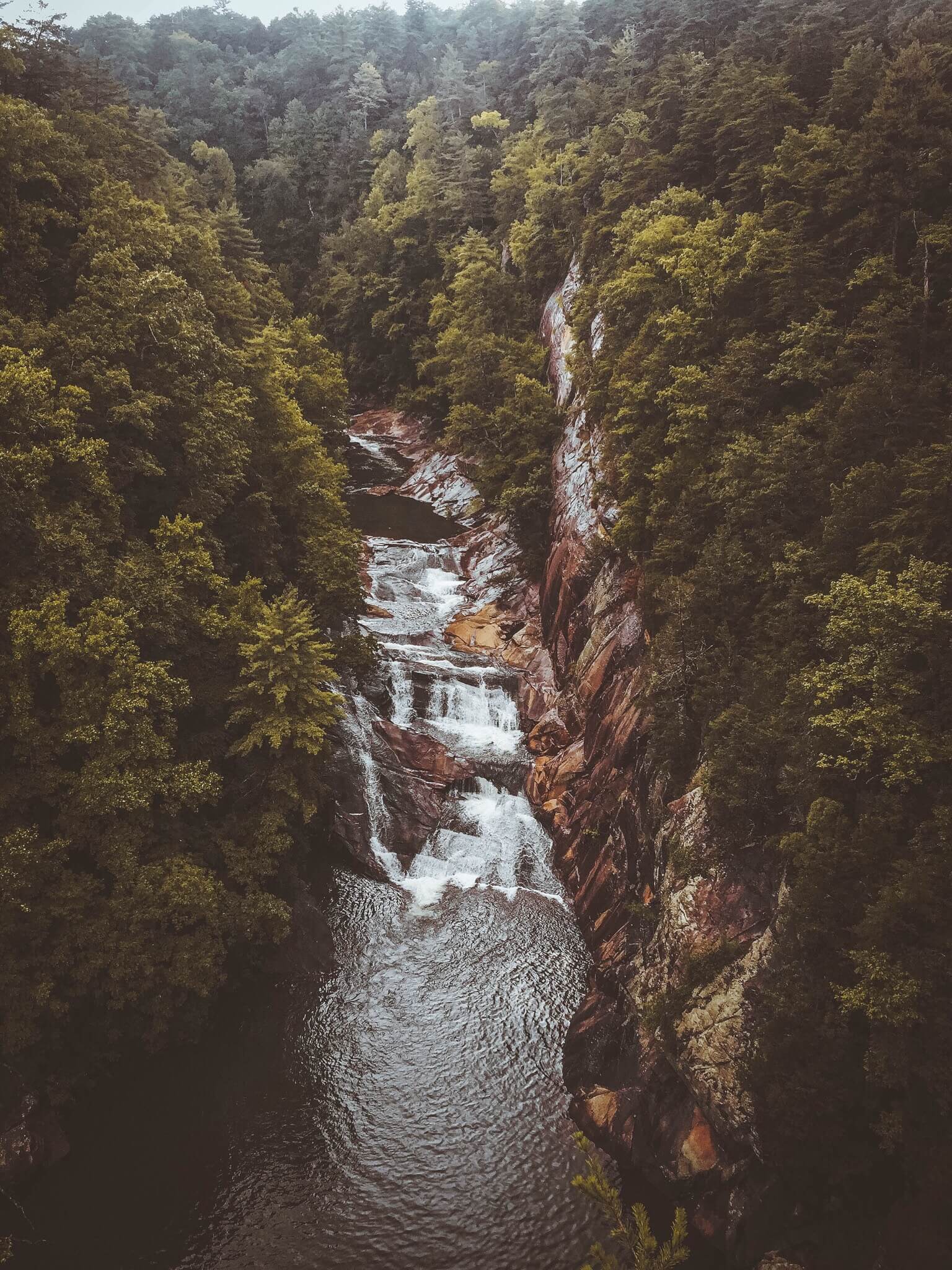 background (11).png