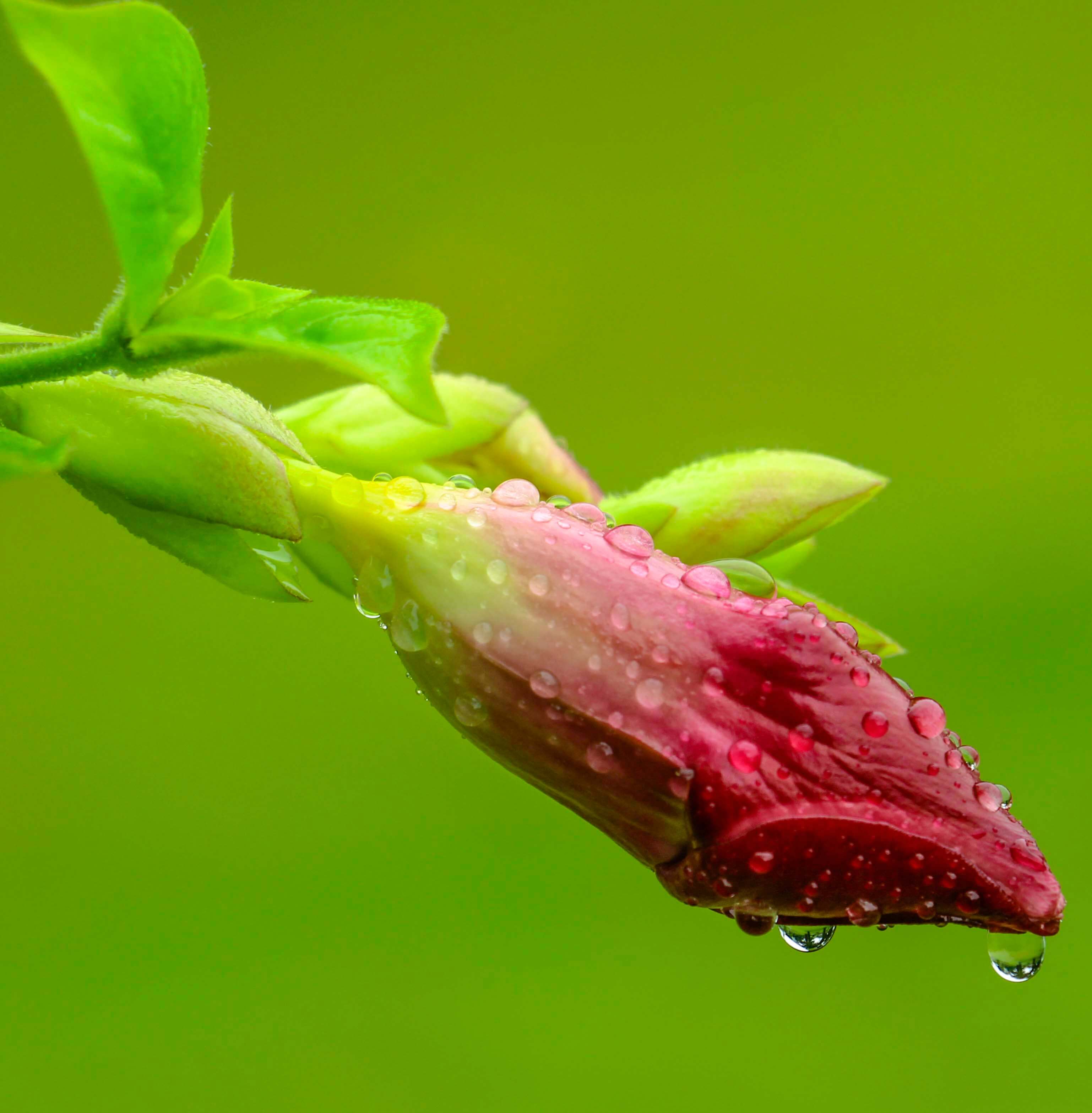 background (11).png