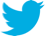 twitter-icon