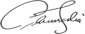 Placeholder logo